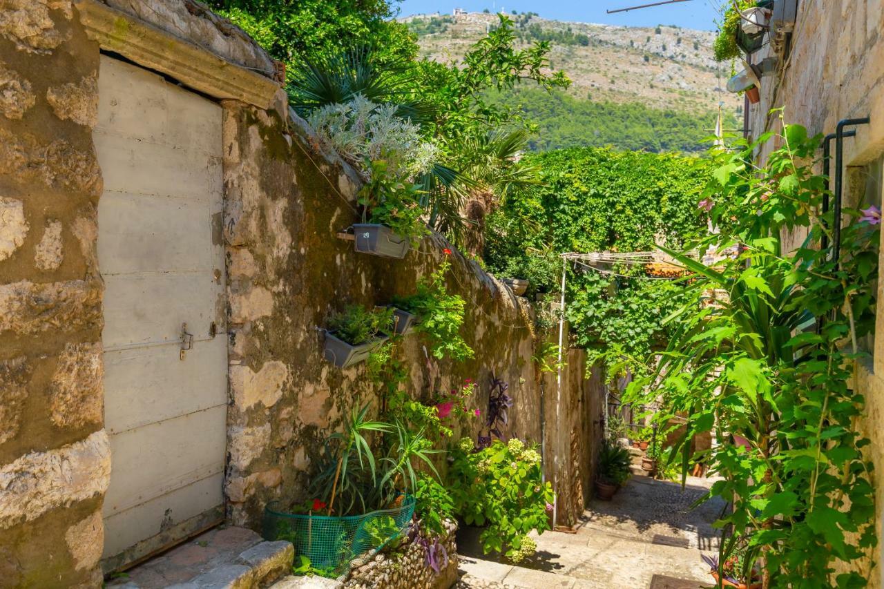 ドゥブロブニク Old Town House With Floor Heating & Lush Private Gardenヴィラ エクステリア 写真
