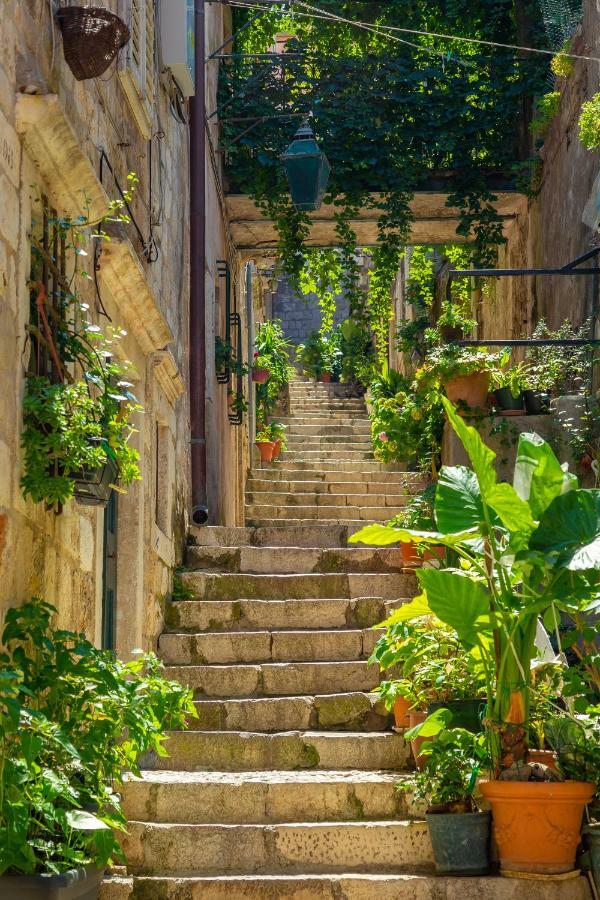 ドゥブロブニク Old Town House With Floor Heating & Lush Private Gardenヴィラ エクステリア 写真