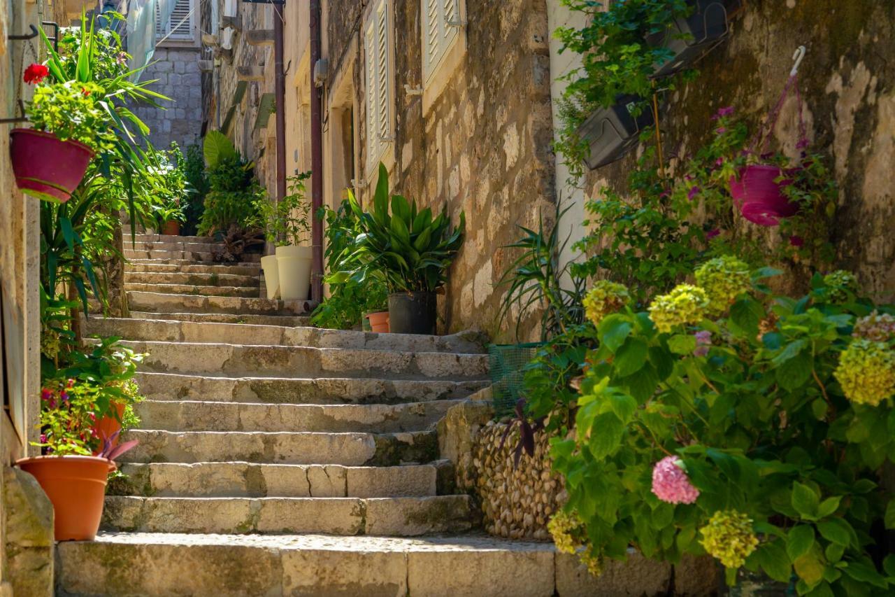 ドゥブロブニク Old Town House With Floor Heating & Lush Private Gardenヴィラ エクステリア 写真
